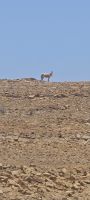 IMG-20250607-WA0012