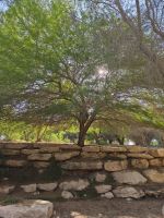 IMG-20250608-WA0003