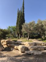 IMG-20250608-WA0004
